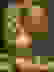 item-74340873=2
