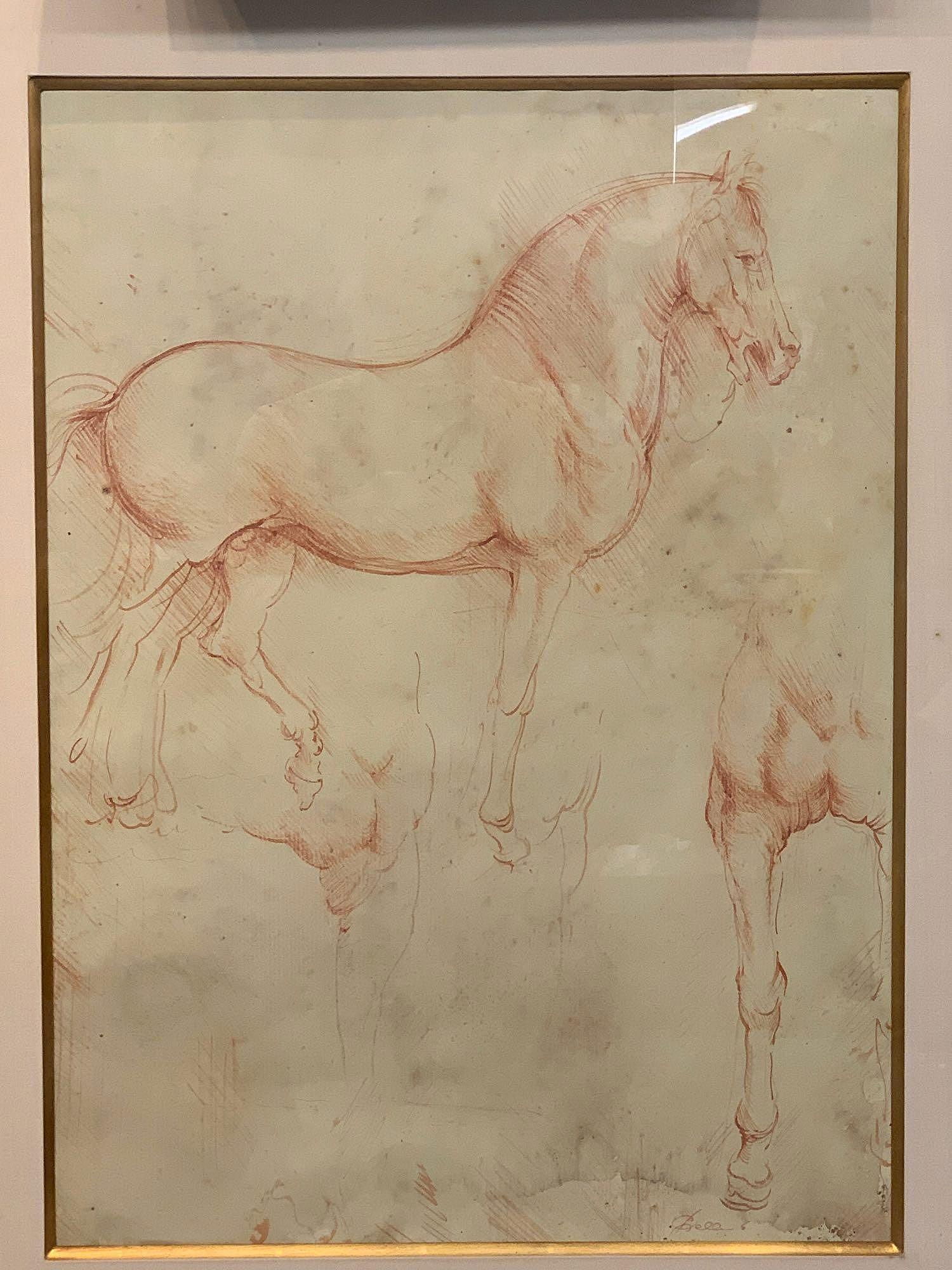 19th Century Italian School. Studies Of A Horse (1 of 4)
