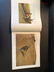 Andrew Wyeth By Richard Meryman - 6
