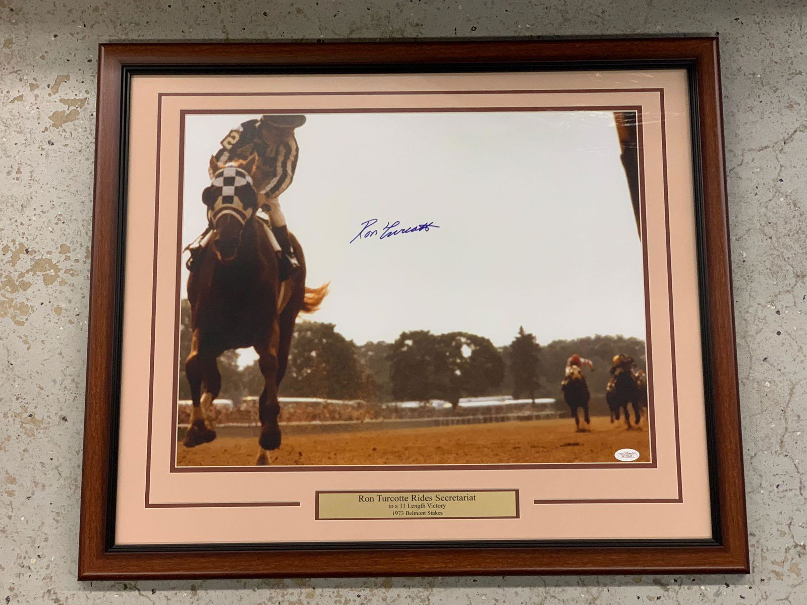Ron Turcotte Autographed Secretariat Photograph: A photograph of the race horse Secretariat, autographed in pen by Ron Turcotte. Has COA verso. Framed and matted under glass. Outside frame: 22-1/4in x 26-1/2in.