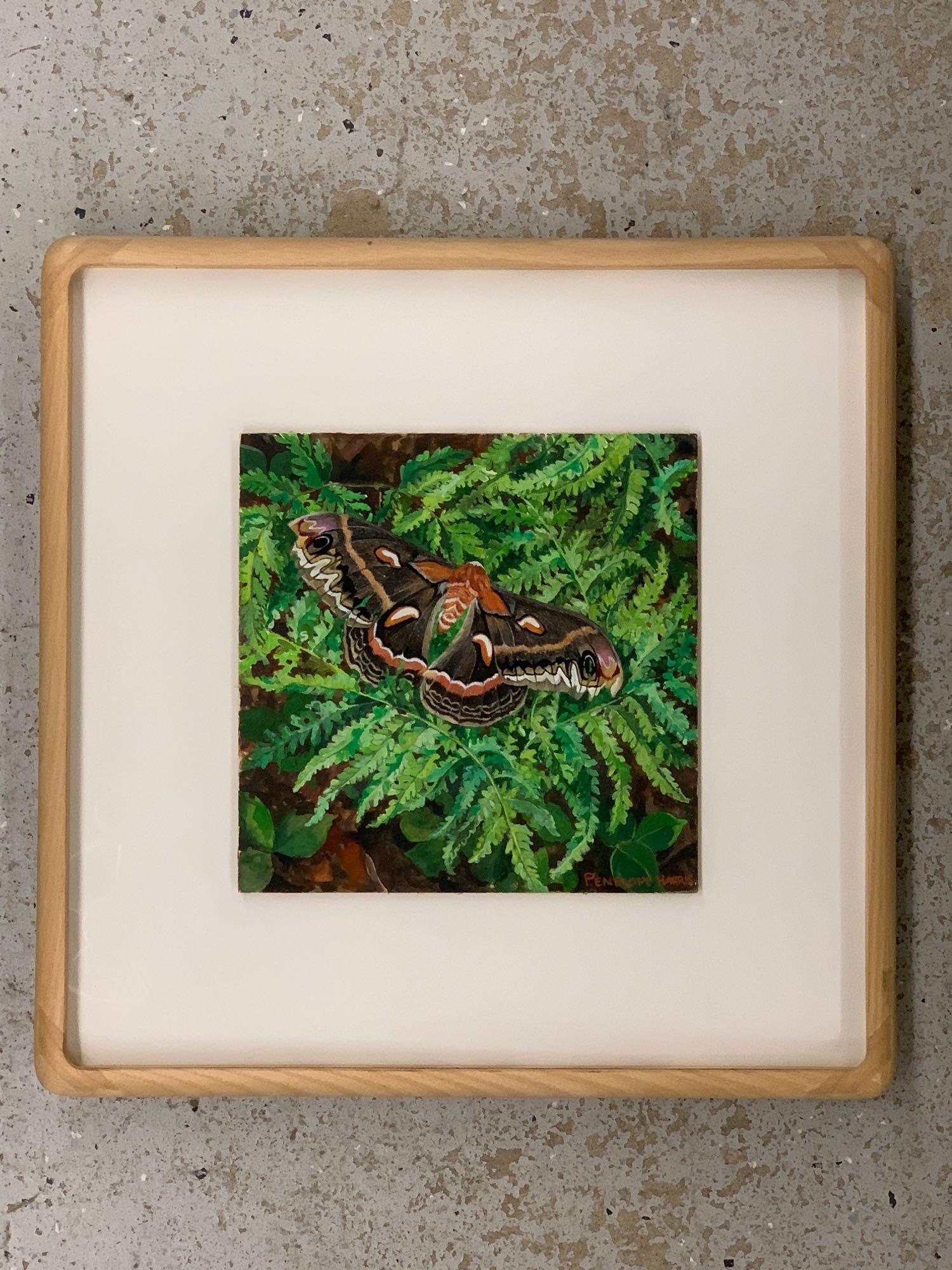 Penelope Harris. Gouache on Board, Summer Moth (1 of 4)