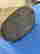 item-99618498=4