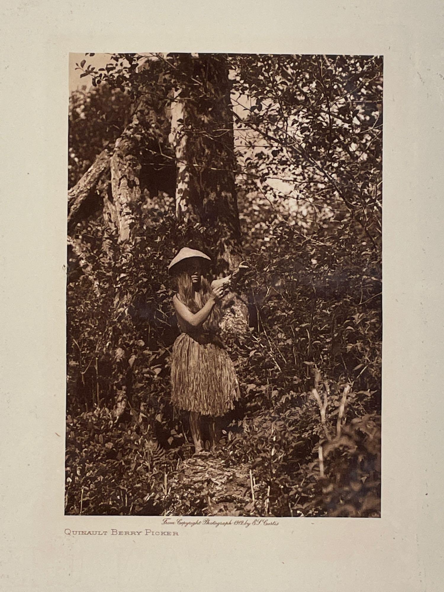 Edward Curtis. Photogravure, Quinault Berry Picker (1 of 5)