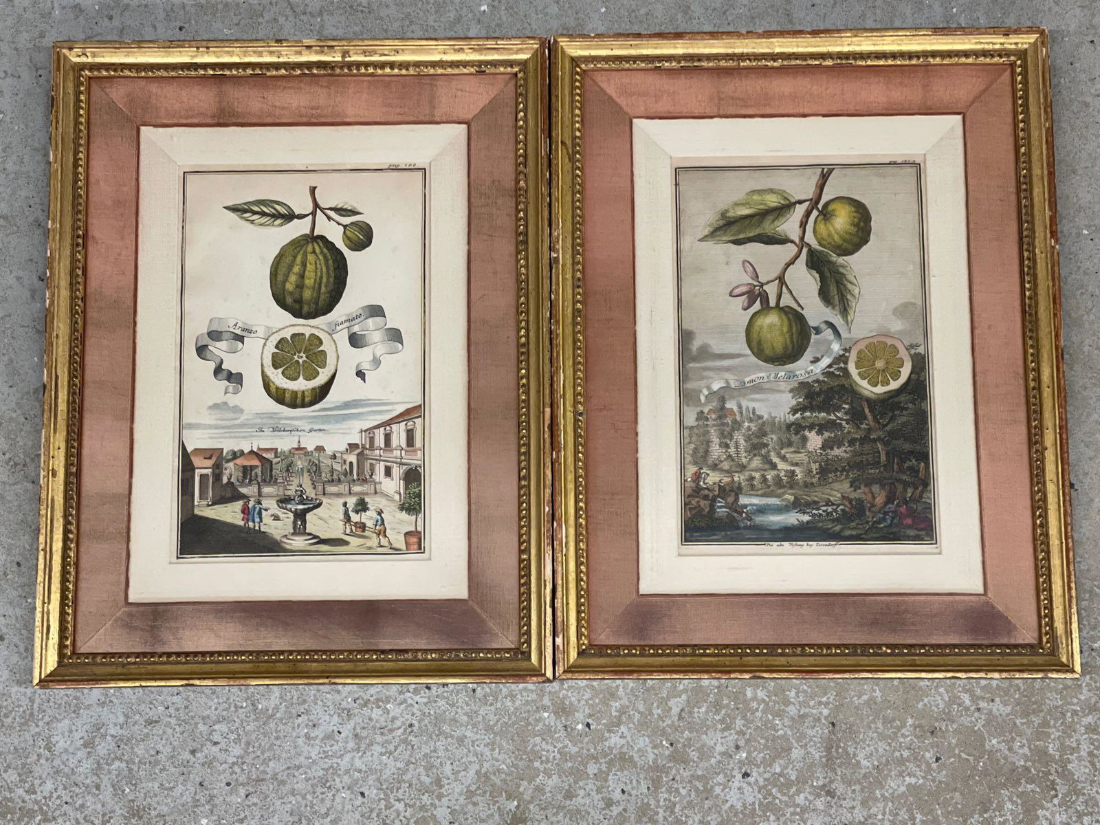 Two Volckhamer Hand-Colored Engravings (1 of 5)