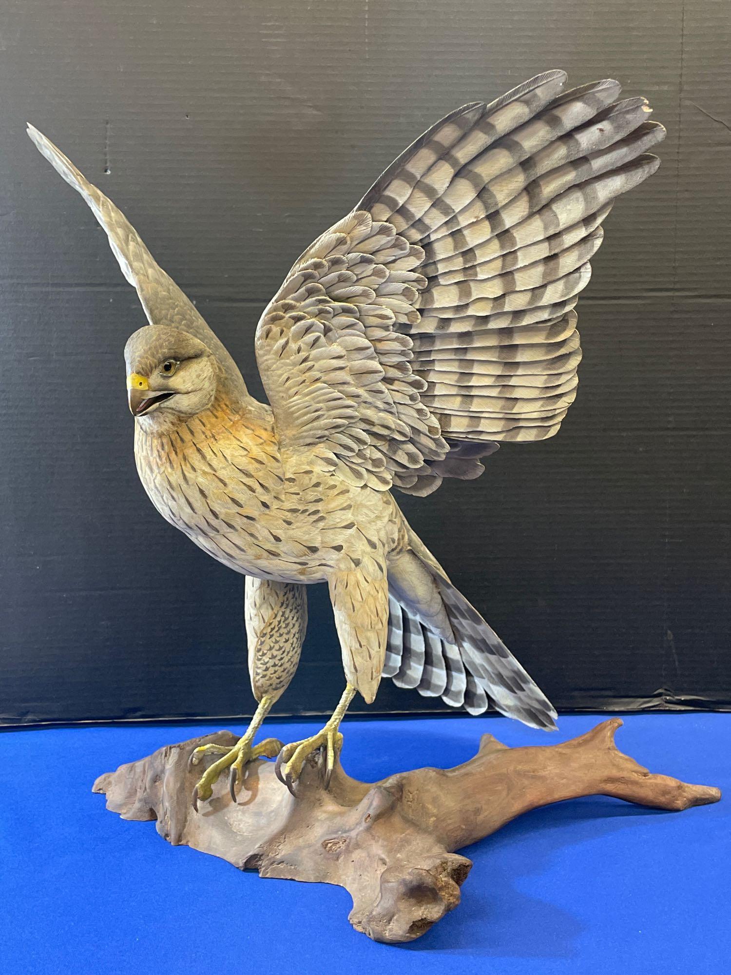 Wayne Edmundson. Carving, Immature Cooper Hawk (1 of 8)