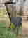item-111839573=4
