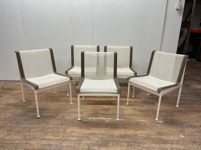 Five Knoll 1966 Dining Chairs By Richard Schultz