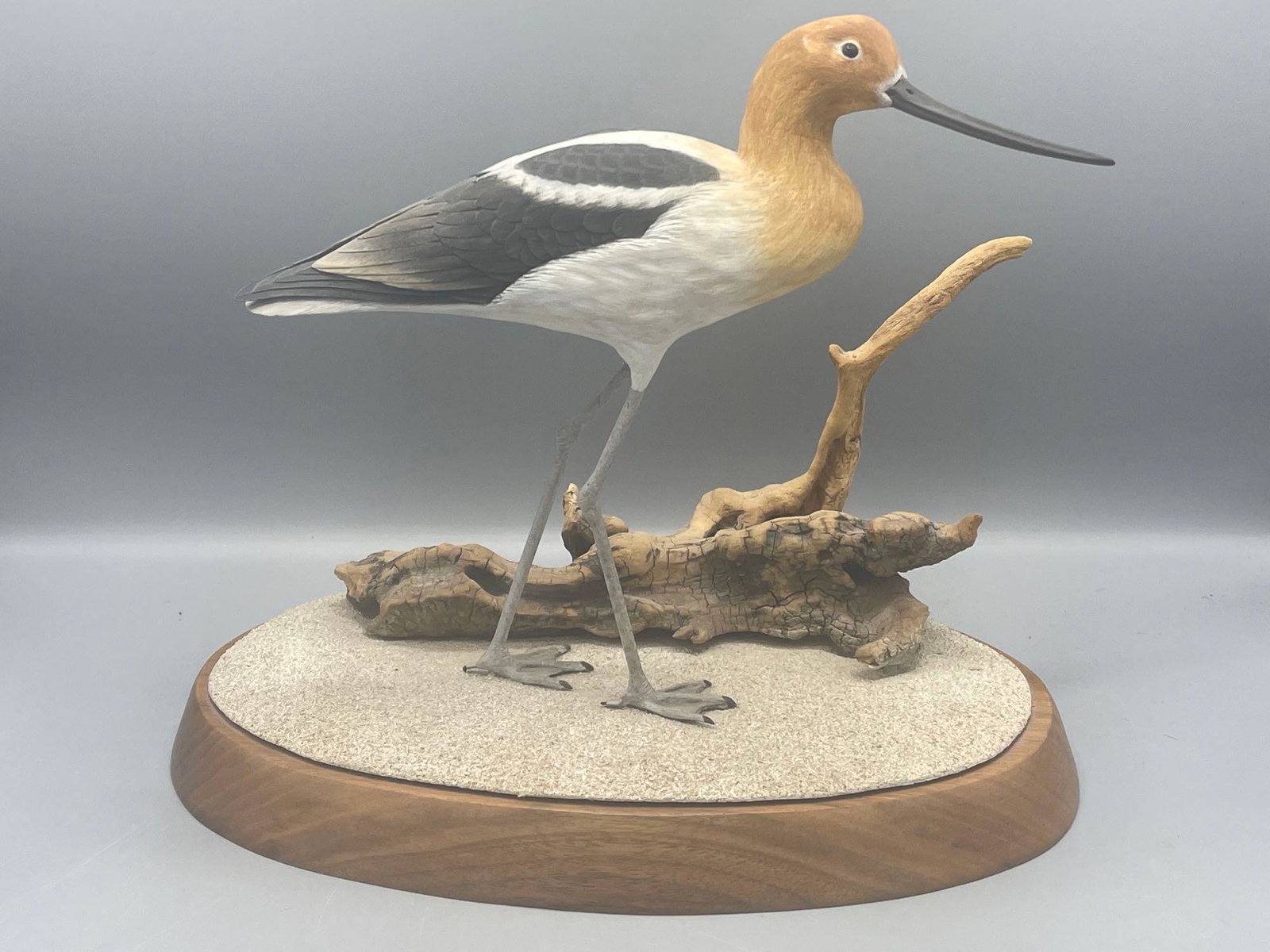 Tom Ahren Bird Carving: Avocet (1 of 5)