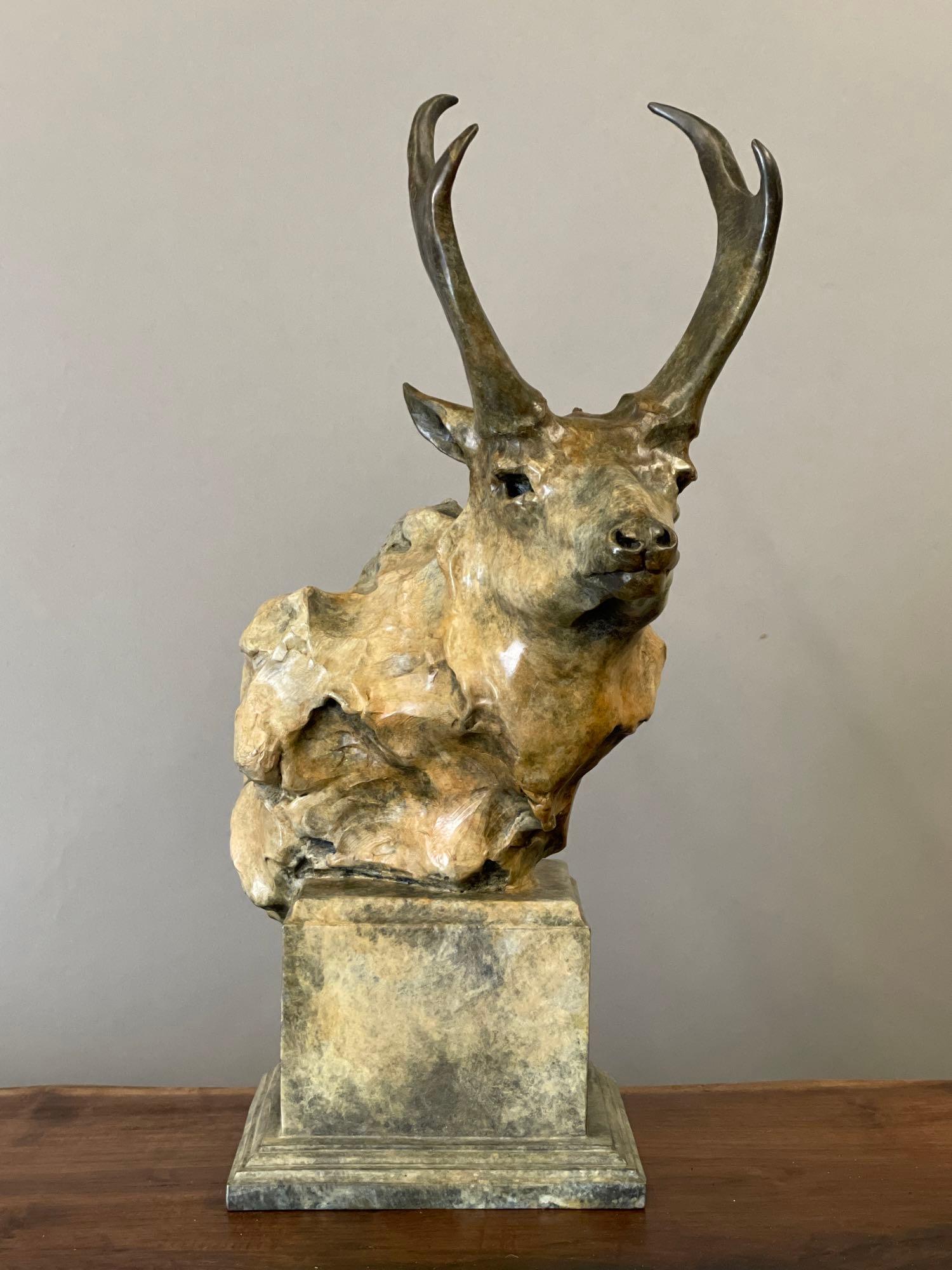 Sherry Sander. Bronze Bust, Antelope (1 of 5)
