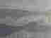 item-132698594=5