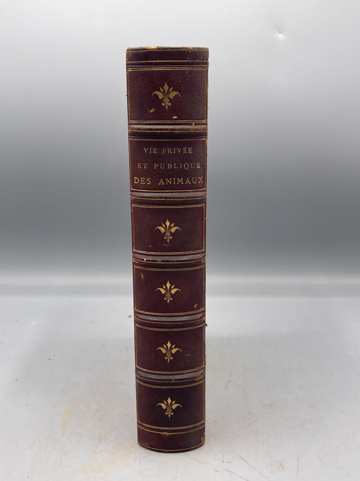 P.J. Stahl, et al: Vie Privee Et Publique Des Animaux: "Scenes de la Vie Privee et Publique Des Animaux" by P.J. Stahl in collaboration with De Balzac, L. Baude, E. De La Bedollierre, P. Bernard, and more. 1842. Gilt-edged pages. 10in tall x 7in wide.