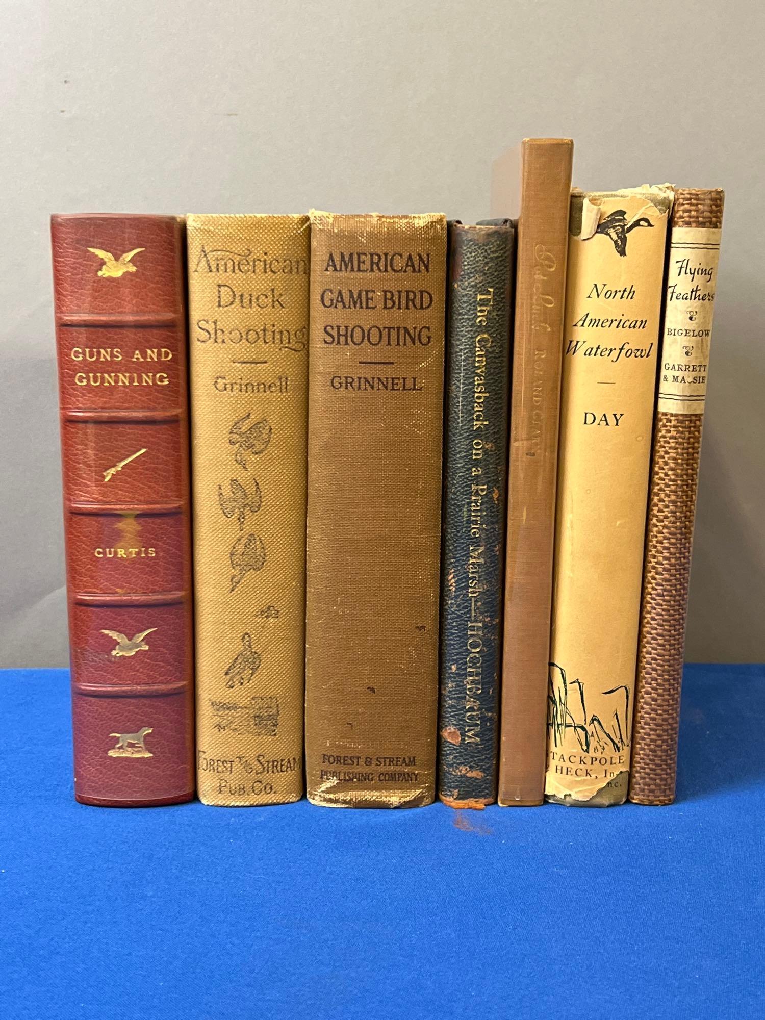 Seven Books: Bird Hunting (1 of 10)