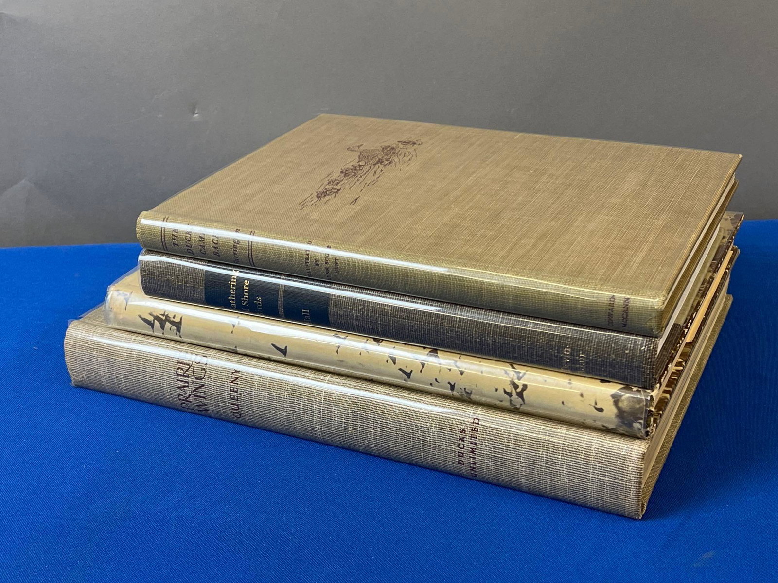 Four Books: Birds and Bird Hunting (1 of 7)