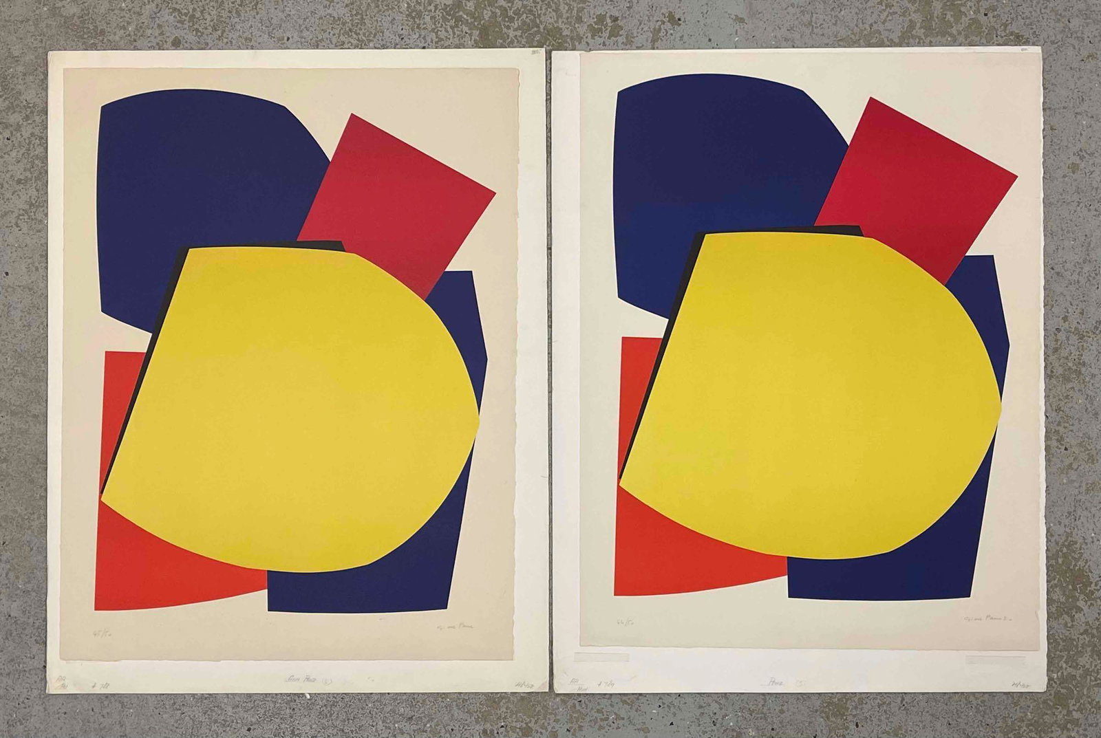 Two Gina Pane Signed Lithographs (1 of 6)