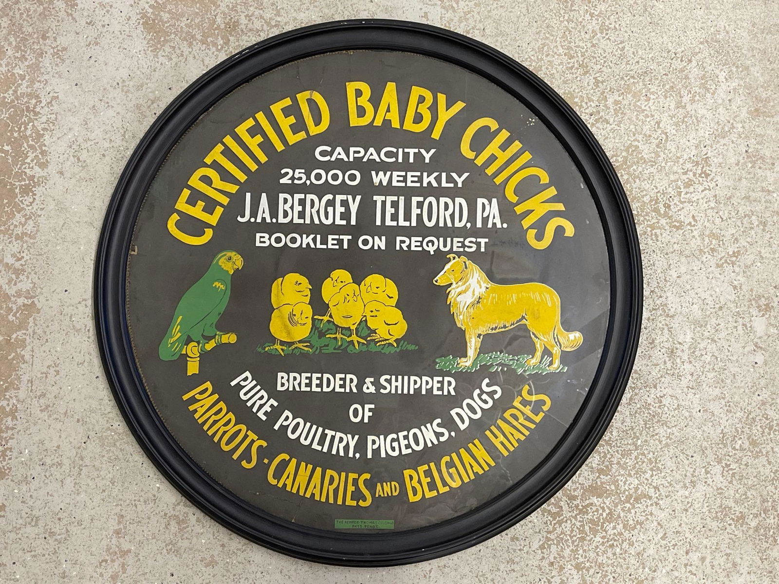 J.A. Bergey Breeder Advertising Sign: A circular and colorful advertising sign printed by the Kemper-Thomas Co for J.A. Bergey Breeder & Shipper of pure poultry, pigeons, and dogs. 33in diameter. | Local and NYC curbside delivery details