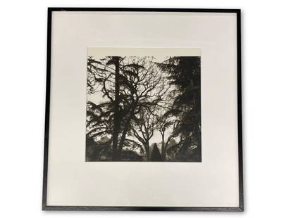 Lynn Geesaman. Photograph, Bagatelle: Lynn Geesaman (American, 1938-2020). A black and white silver gelatin print titled "Bagatelle". Attributed and dated 1995 verso. Mat opening: 18-1/2in x 18-1/2in. Frame: 32-1/2in x 31-1/2in. | Philade