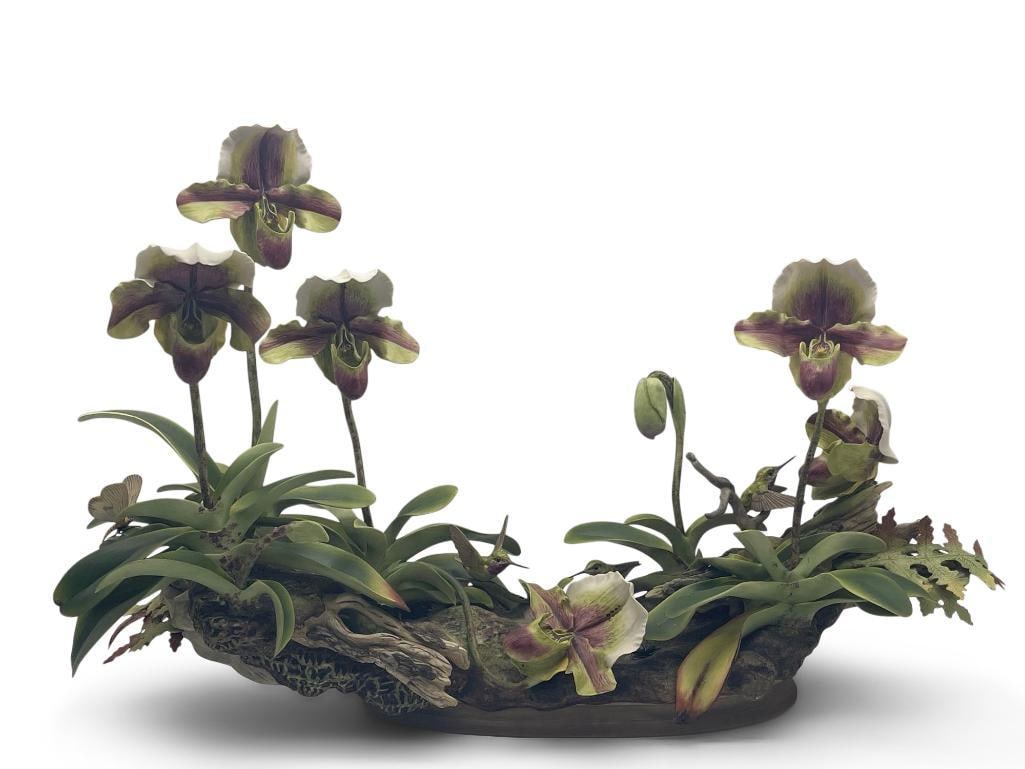 Rare Boehm Slipper Orchid and Hummingbirds (1 of 11)