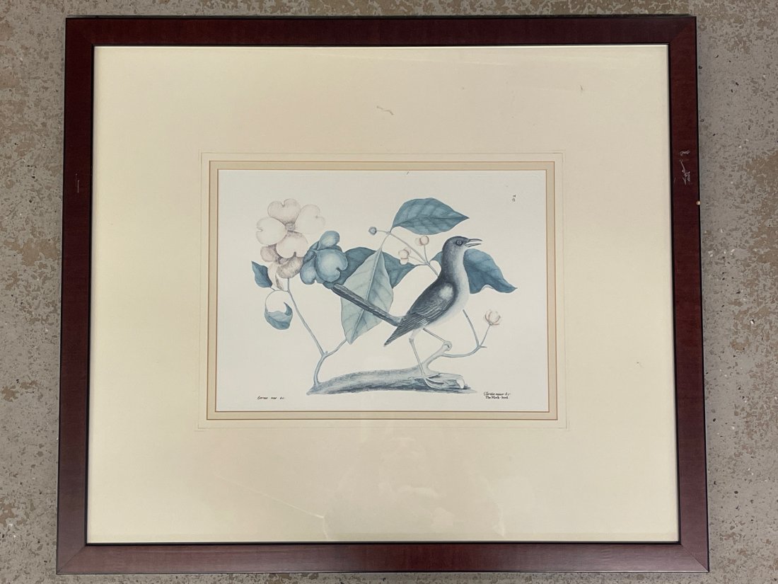 After Mark Catesby Engraving, Mocking Bird: An engraving depicting the mocking bird, after Mark Catesby (British, 1682-1749). Numbered T. 27 top right. Mat opening: 11-1/2in x 15-1/2in. Frame: 26-1/2in x 30-1/2in. | Philadelphia Metro area deli