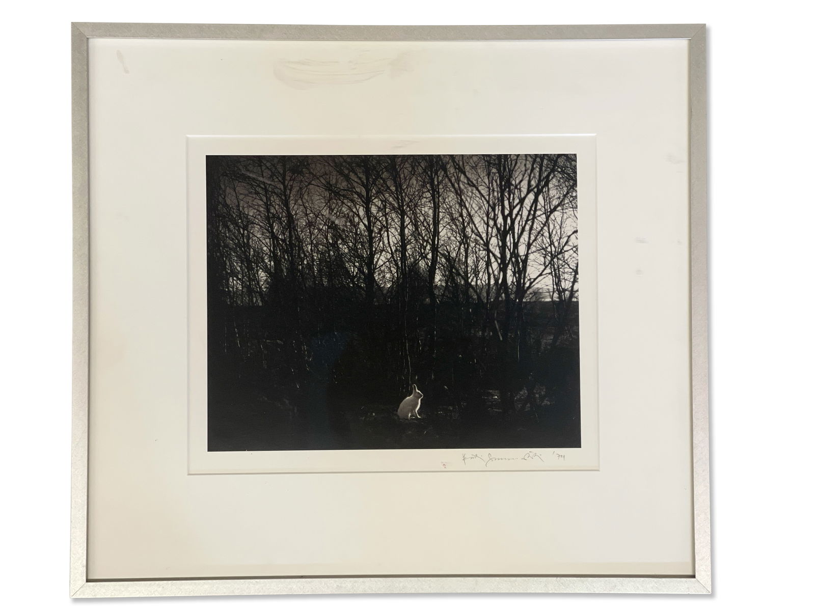 Pentti Sammallahti. Silver Gelatin Print, Rabbit (1 of 4)