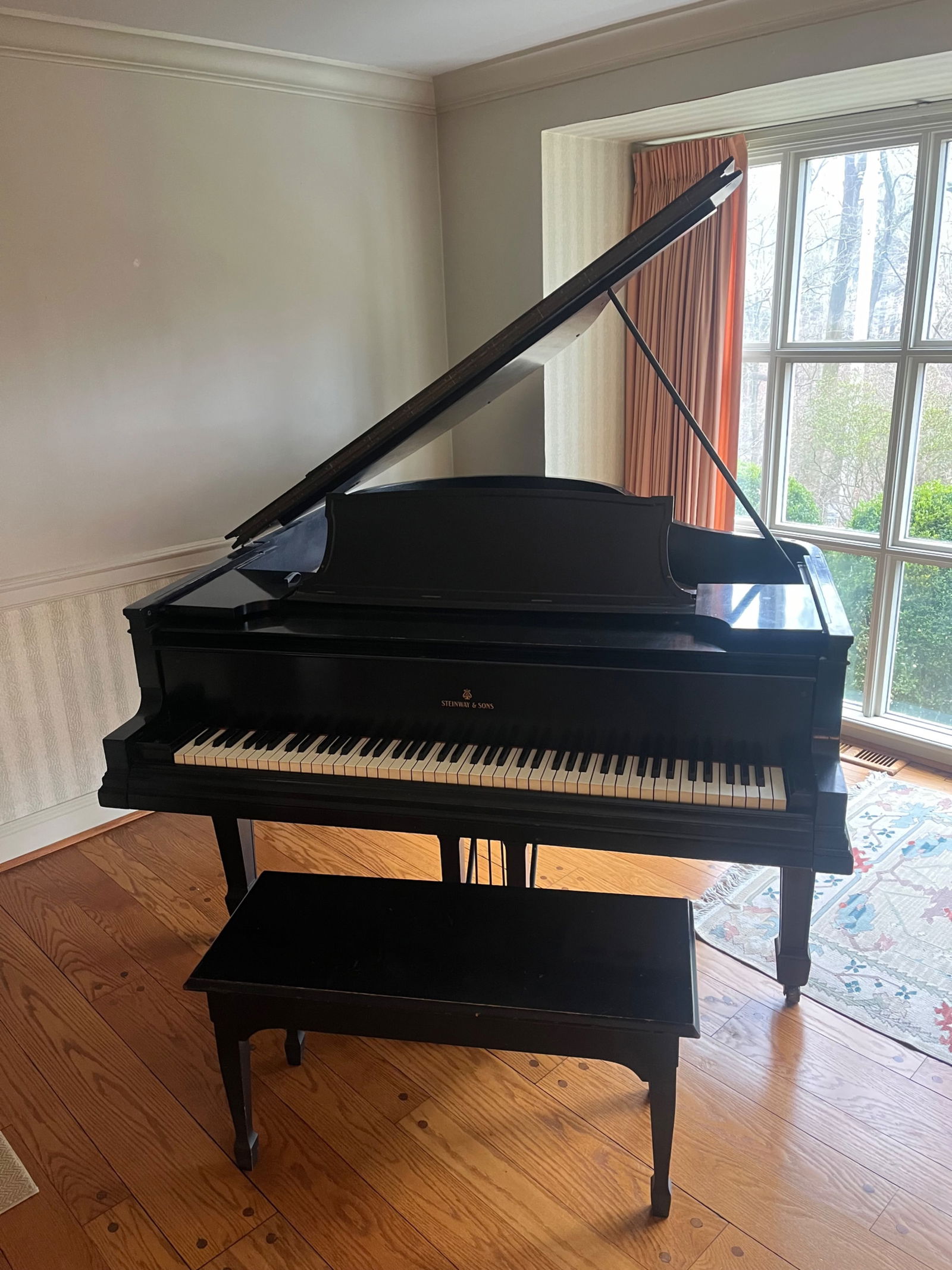 Steinway Model M Studio Grand Piano (1 of 14)