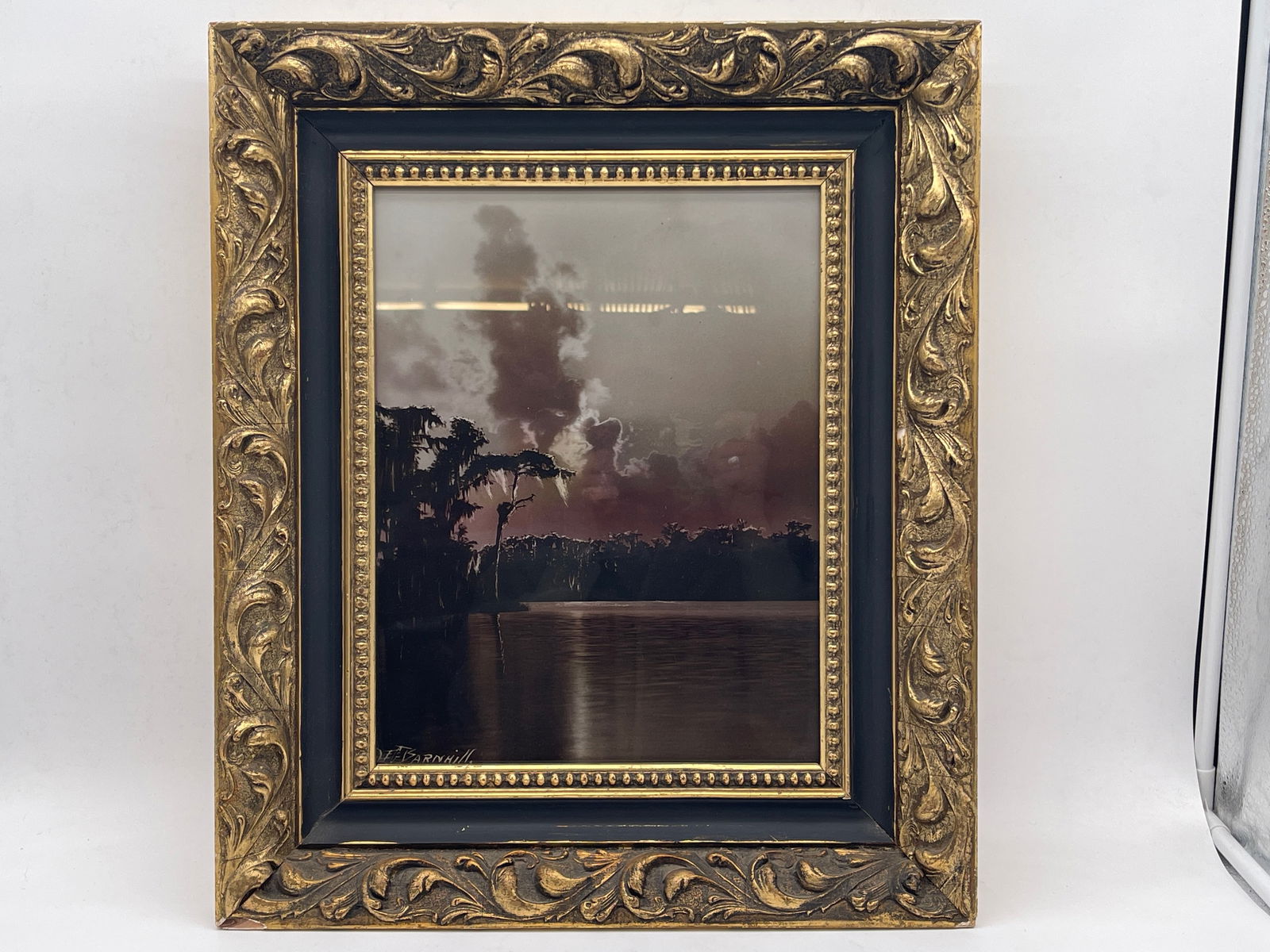 E.G. Barnhill. Colortone Photo, Everglades (1 of 6)