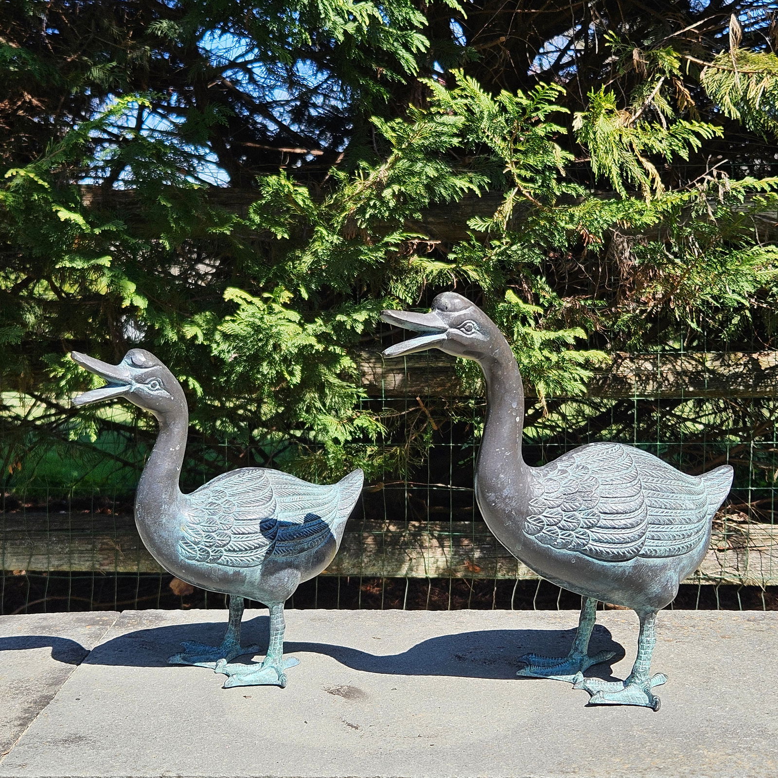 Small Pair of Cast Bronze Sculptures of Ducks (1 of 5)