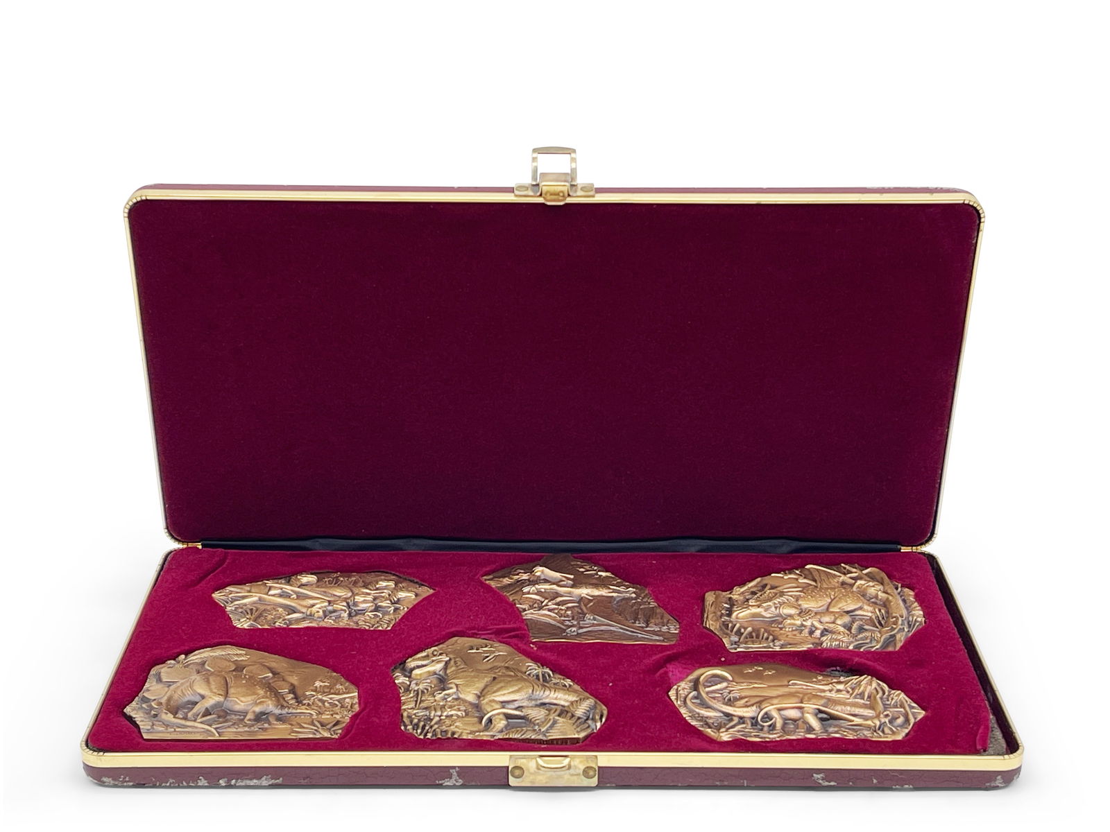 Don Everhart Bronze Fossil Collection (1 of 13)