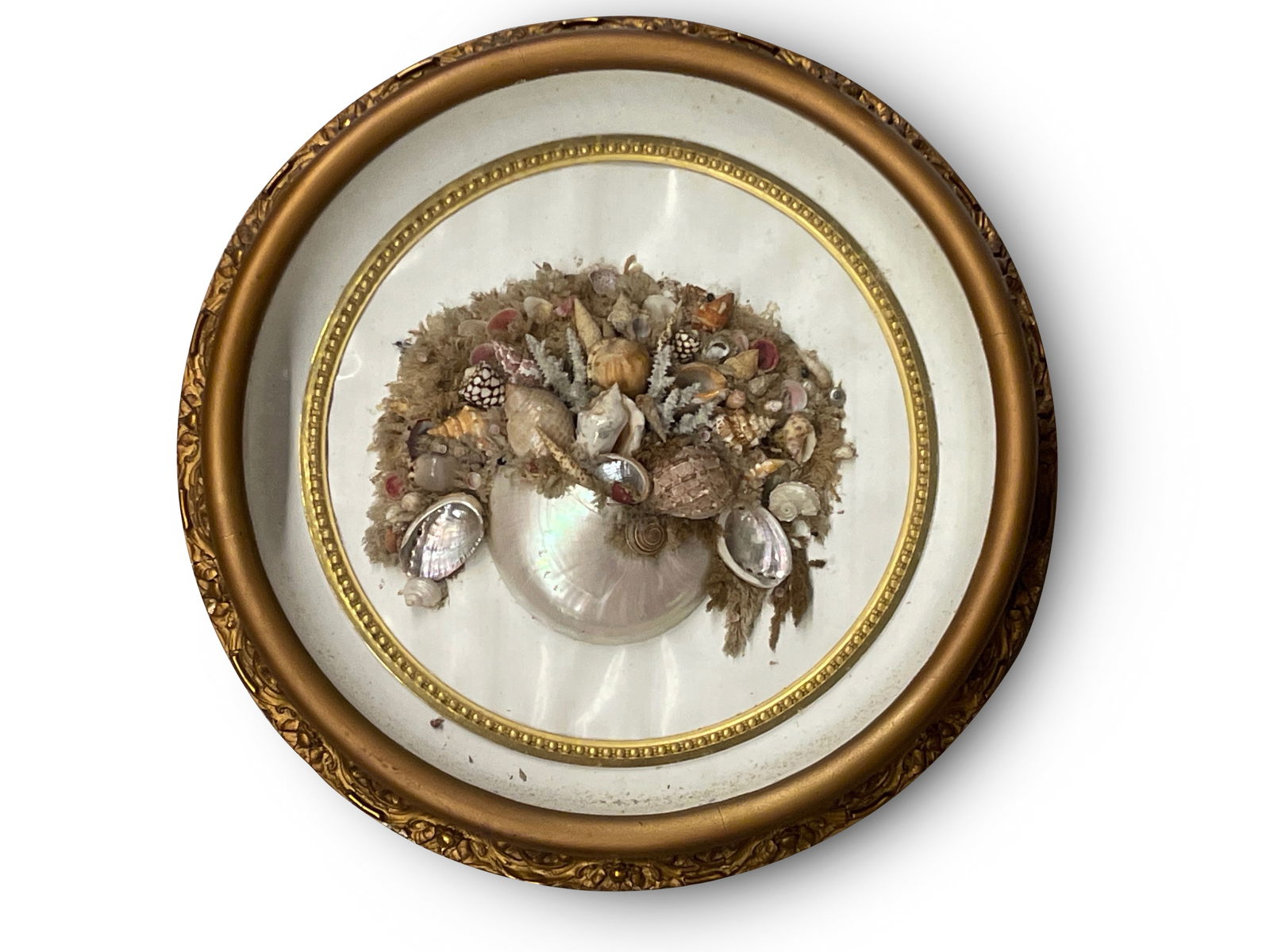Victorian Framed Shell Diorama (1 of 4)