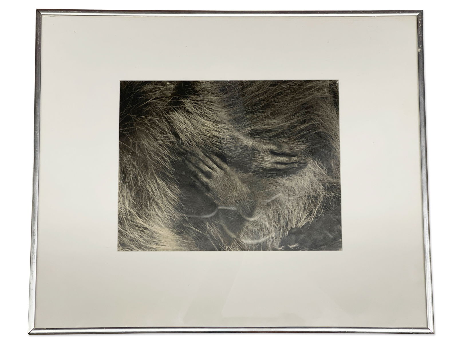 Bruce Katsiff. Photograph: Sleep of Peace (1 of 4)