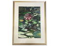 Michael Leszczynski. Watercolor: Lotus