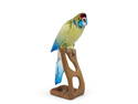Swarovski Rosella Jonquil