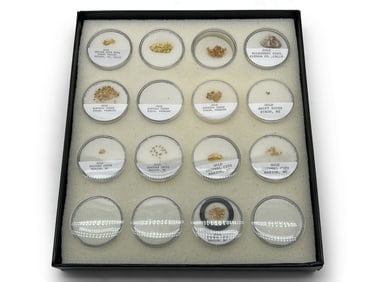 Collection of Gold Nuggets and Flakes