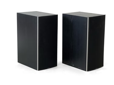 Pair of BayAudio Speakers