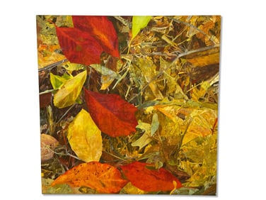 Attrib. to Neil Anderson Acrylic/Canvas: Fall Leaves