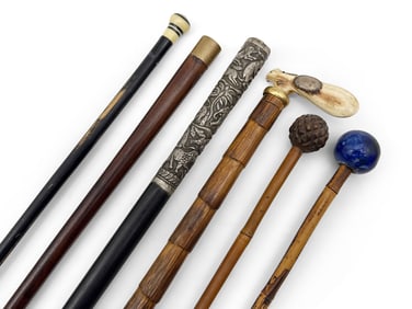 Six Canes and Walking Sticks