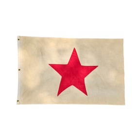 Wool Riga Steamship Co. Flag