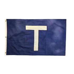 Turney Transportation Co. Flag