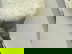 item-210967703=8