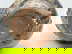 item-210967778=5