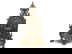 item-210967780=1