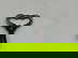 item-210967780=6