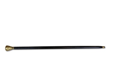 United States Half Dollar-Capped Cane