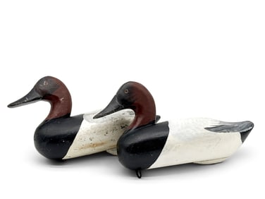 Two Canvasback Duck Decoys