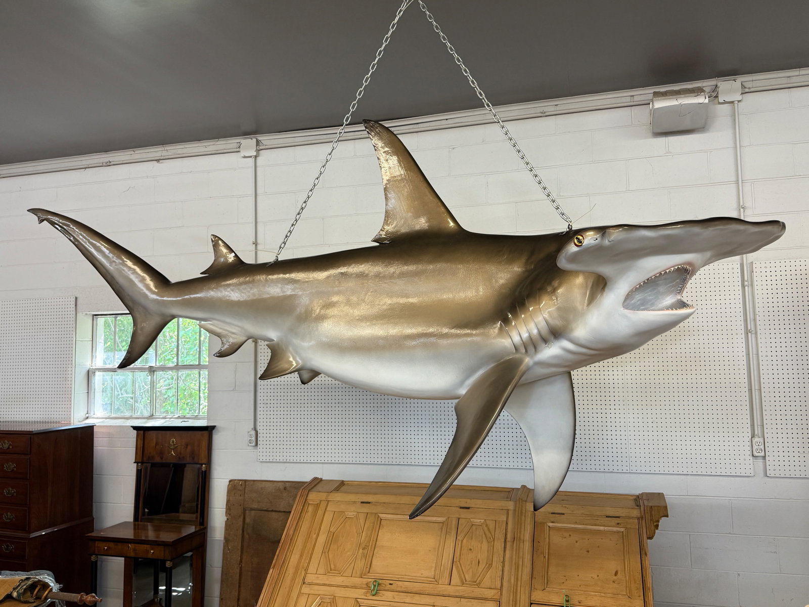 Large Hammerhead Faux-Taxidermy Shark (1 of 8)