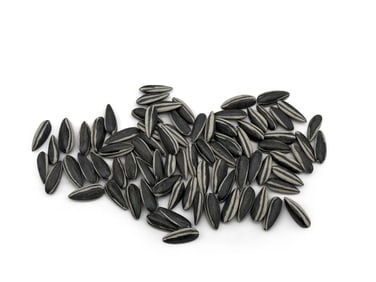 Attrib. Ai Wei Wei Porcelain Sunflower Seeds