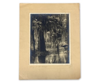 Eugene Delcroix Silver Gelatin Photograph: Spring Swamp