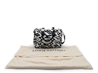 Louis Vuitton Urs Fischer Tufted Mongoram Bag