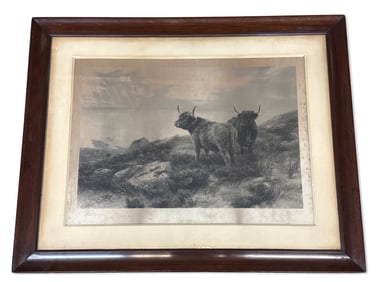 Peter Graham Engraving: Highland Cows