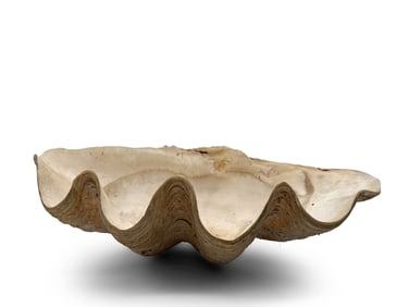 Large White Clamshell Center Bowl