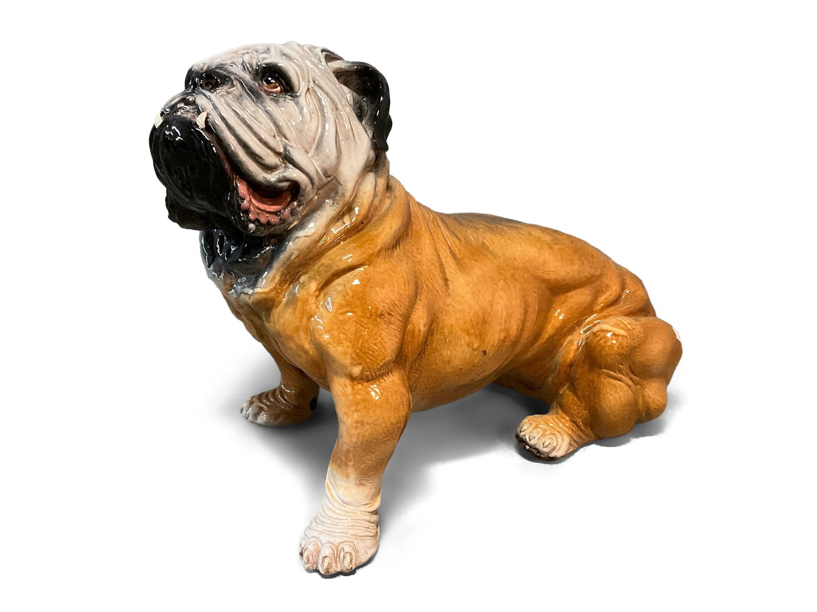Large Italian Glazed Pottery Bulldog (1 of 5)